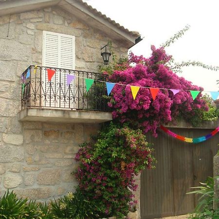 Casa Das Magnolias De Igarei Εξωτερικό φωτογραφία